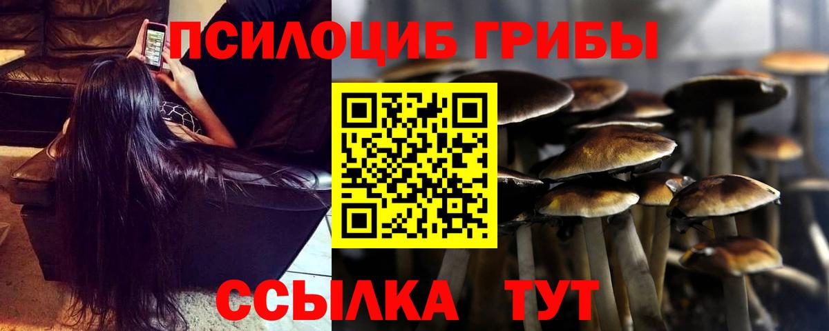 Галлюциногенные грибы Psilocybine cubensis  Вход с VPN  Котельники  Галлюциногенные грибы Cubensis 